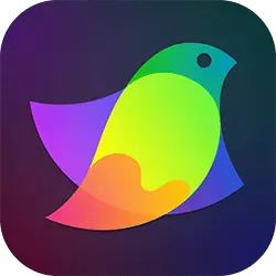 Amadine Discount Code
