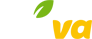 Flava Discount Code