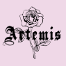 Artemis Accessories Discount Code