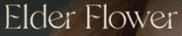 Elder Flower Coupon Codes