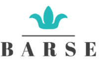 Barse Jewelry Coupon Codes