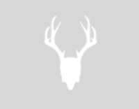 Mad Rabbit Coupon Codes