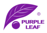 Purple Leaf Coupon Codes