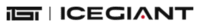 Icegiant Coupon Codes