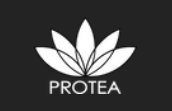 Protea Hair Coupon Codes