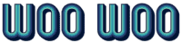 Woo Woo Boutique Coupon Code