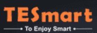 TESmart