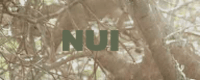 Nui Organics Coupon Codes
