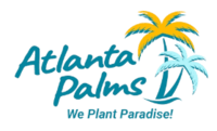 Atlanta Palms