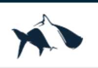 Fish Hippie Coupon Codes