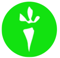 Detoxification Works Coupon Codes