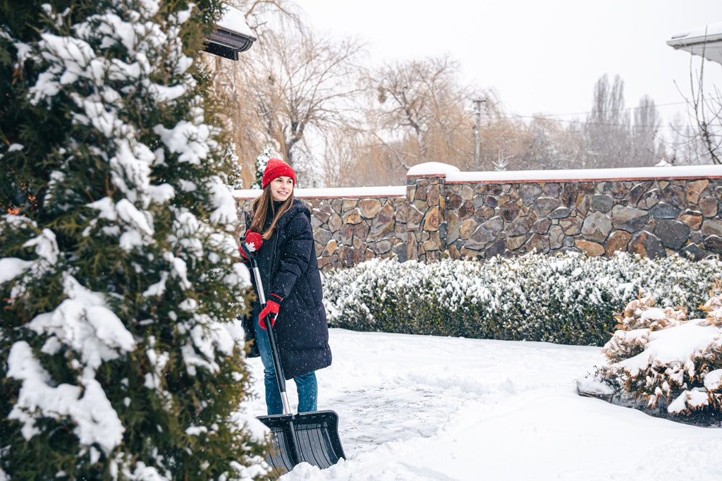 The Ultimate Guide To Winter Gardening In The UK