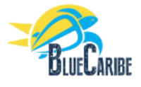 Blue Caribe Tours Discount Code